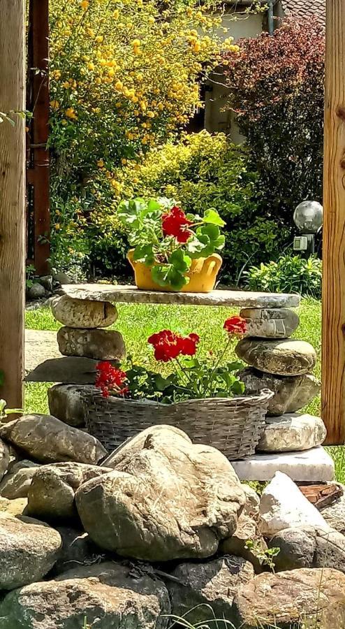 Casa Din Coltul Cetatii Villa Harman ภายนอก รูปภาพ