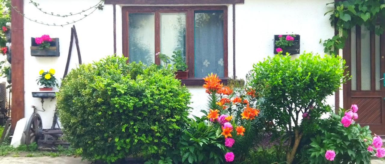 Casa Din Coltul Cetatii Villa Harman ภายนอก รูปภาพ